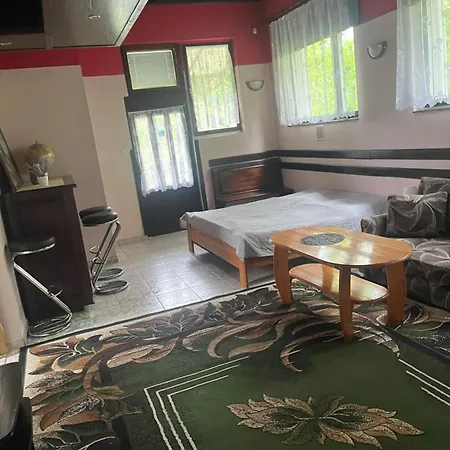 Apartment Wodna1